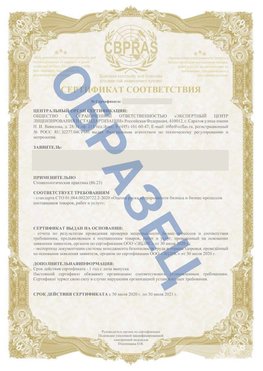 Образец Сертификат СТО 01.064.00220722.2-2020 Южноуральск Сертификат СТО 01.064.00220722.2-2020 